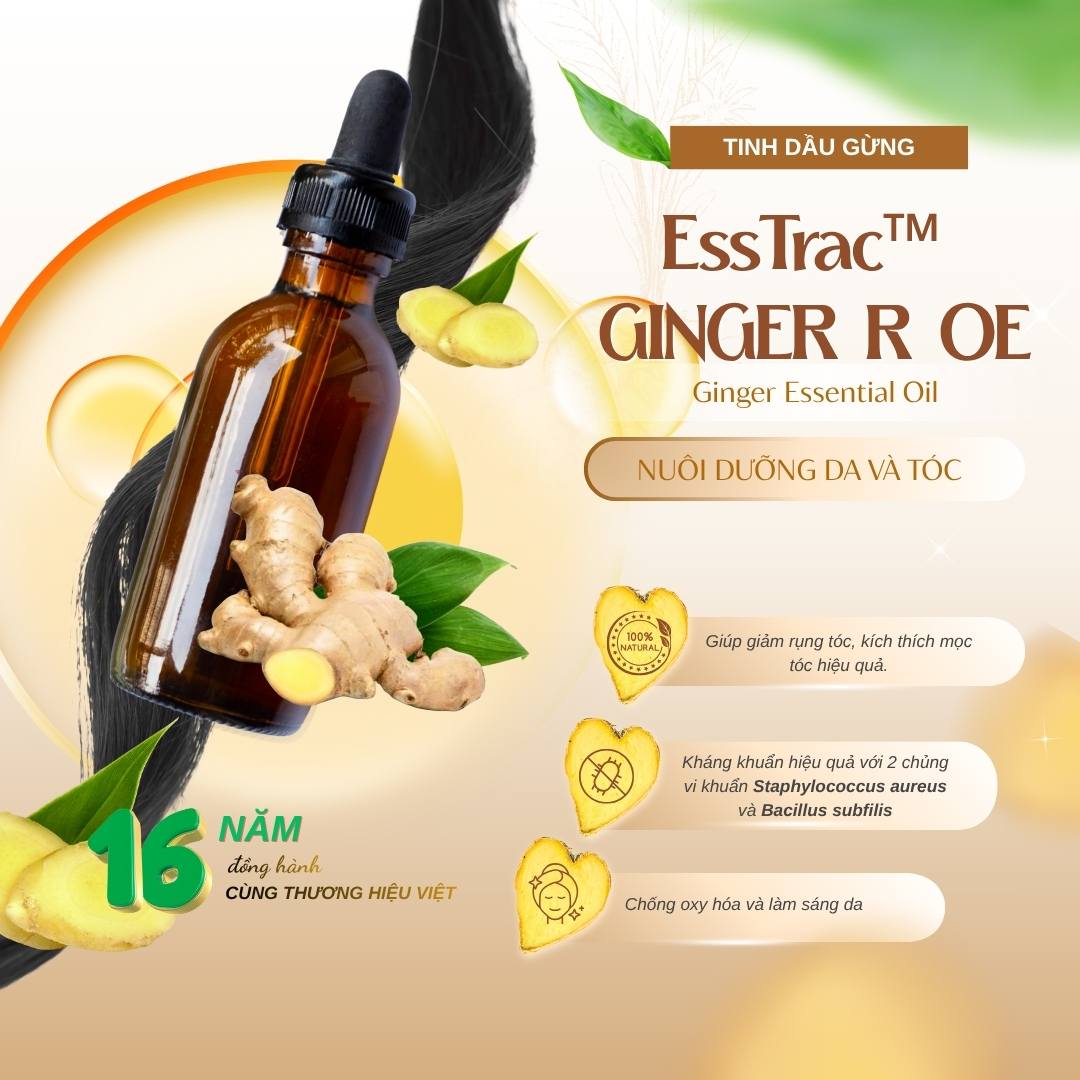 Ginger Essential Oil